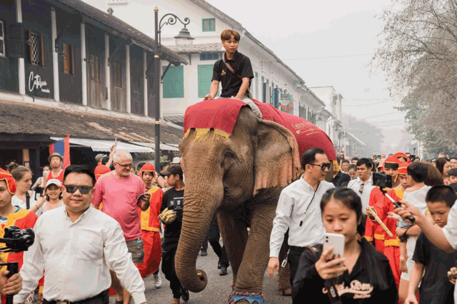 ความสำคัญของปี่ไม้ลาว