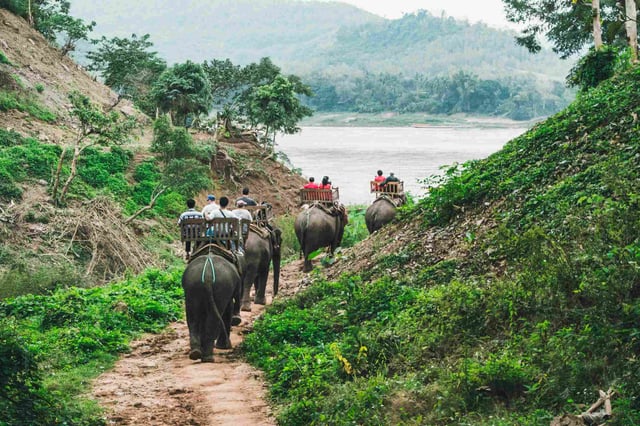 เขตรักษาพันธุ์สัตว์ป่าน่าไปเยี่ยมชมในประเทศลาว เขตรักษาพันธุ์สัตว์ป่าน่าไปเยี่ยมชมในประเทศลาว